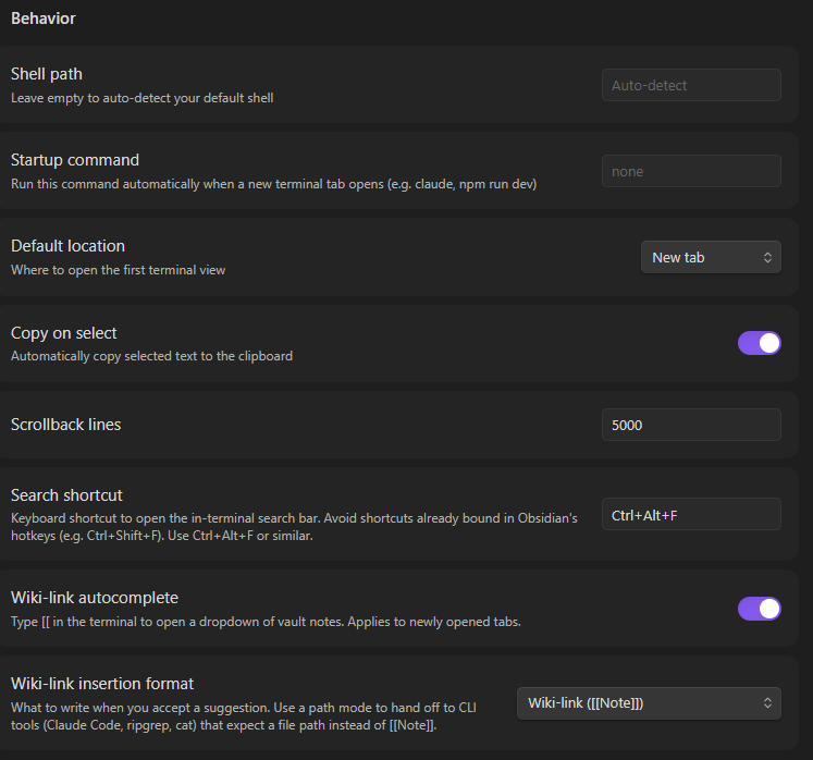 Lean Terminal Behavior Settings